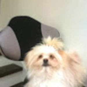 Meet your Posher, Asela